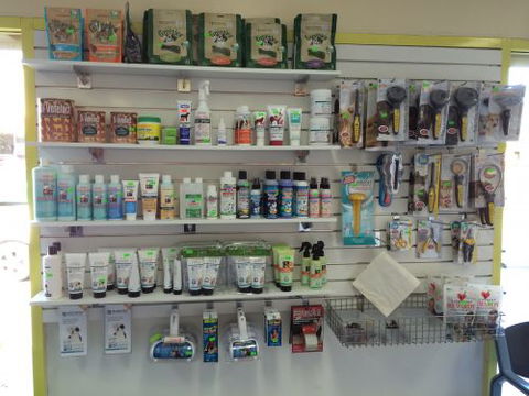 Albion Park Veterinary Hospital - Perth Private Schools 4