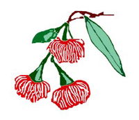 Mudgeeraba Special School