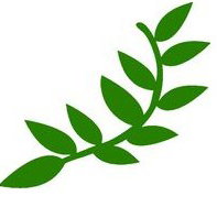 Laburnum Primary School - Perth Private Schools