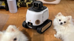 AI robot may stop your dog from barking while you're gone Perth Private Schools
