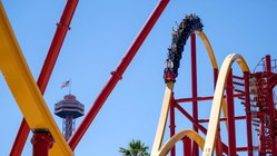 Popular amusement park bans guest for life after roller coaster stunt viral video Perth Private Schools